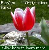BioVam Grown flowers